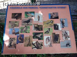 [P38] Zoo Ploiești, Bucov » foto by Mioritik
 - 
<span class="allrVoted glyphicon glyphicon-heart hidden" id="av1247820"></span>
<a class="m-l-10 hidden" id="sv1247820" onclick="voting_Foto_DelVot(,1247820,4463)" role="button">șterge vot <span class="glyphicon glyphicon-remove"></span></a>
<a id="v91247820" class=" c-red"  onclick="voting_Foto_SetVot(1247820)" role="button"><span class="glyphicon glyphicon-heart-empty"></span> <b>LIKE</b> = Votează poza</a> <img class="hidden"  id="f1247820W9" src="/imagini/loader.gif" border="0" /><span class="AjErrMes hidden" id="e1247820ErM"></span>