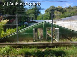 [P40] Zoo Ploiești, Bucov » foto by Mioritik
 - 
<span class="allrVoted glyphicon glyphicon-heart hidden" id="av1247822"></span>
<a class="m-l-10 hidden" id="sv1247822" onclick="voting_Foto_DelVot(,1247822,4463)" role="button">șterge vot <span class="glyphicon glyphicon-remove"></span></a>
<a id="v91247822" class=" c-red"  onclick="voting_Foto_SetVot(1247822)" role="button"><span class="glyphicon glyphicon-heart-empty"></span> <b>LIKE</b> = Votează poza</a> <img class="hidden"  id="f1247822W9" src="/imagini/loader.gif" border="0" /><span class="AjErrMes hidden" id="e1247822ErM"></span>