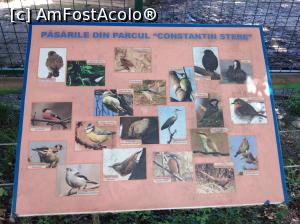 [P41] Zoo Ploiești, Bucov » foto by Mioritik
 - 
<span class="allrVoted glyphicon glyphicon-heart hidden" id="av1247823"></span>
<a class="m-l-10 hidden" id="sv1247823" onclick="voting_Foto_DelVot(,1247823,4463)" role="button">șterge vot <span class="glyphicon glyphicon-remove"></span></a>
<a id="v91247823" class=" c-red"  onclick="voting_Foto_SetVot(1247823)" role="button"><span class="glyphicon glyphicon-heart-empty"></span> <b>LIKE</b> = Votează poza</a> <img class="hidden"  id="f1247823W9" src="/imagini/loader.gif" border="0" /><span class="AjErrMes hidden" id="e1247823ErM"></span>