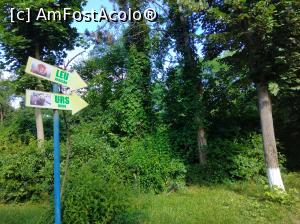 [P07] Zoo Ploiești, Bucov » foto by Mioritik
 - 
<span class="allrVoted glyphicon glyphicon-heart hidden" id="av1247789"></span>
<a class="m-l-10 hidden" id="sv1247789" onclick="voting_Foto_DelVot(,1247789,4463)" role="button">șterge vot <span class="glyphicon glyphicon-remove"></span></a>
<a id="v91247789" class=" c-red"  onclick="voting_Foto_SetVot(1247789)" role="button"><span class="glyphicon glyphicon-heart-empty"></span> <b>LIKE</b> = Votează poza</a> <img class="hidden"  id="f1247789W9" src="/imagini/loader.gif" border="0" /><span class="AjErrMes hidden" id="e1247789ErM"></span>