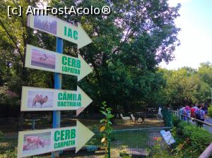 [P09] Zoo Ploiești, Bucov » foto by Mioritik
 - 
<span class="allrVoted glyphicon glyphicon-heart hidden" id="av1247791"></span>
<a class="m-l-10 hidden" id="sv1247791" onclick="voting_Foto_DelVot(,1247791,4463)" role="button">șterge vot <span class="glyphicon glyphicon-remove"></span></a>
<a id="v91247791" class=" c-red"  onclick="voting_Foto_SetVot(1247791)" role="button"><span class="glyphicon glyphicon-heart-empty"></span> <b>LIKE</b> = Votează poza</a> <img class="hidden"  id="f1247791W9" src="/imagini/loader.gif" border="0" /><span class="AjErrMes hidden" id="e1247791ErM"></span>