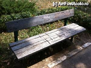 [P02] Pe banca asta ar trebui sa se odihneasca vizitatorii » foto by observatorul
 - 
<span class="allrVoted glyphicon glyphicon-heart hidden" id="av460421"></span>
<a class="m-l-10 hidden" id="sv460421" onclick="voting_Foto_DelVot(,460421,4463)" role="button">șterge vot <span class="glyphicon glyphicon-remove"></span></a>
<a id="v9460421" class=" c-red"  onclick="voting_Foto_SetVot(460421)" role="button"><span class="glyphicon glyphicon-heart-empty"></span> <b>LIKE</b> = Votează poza</a> <img class="hidden"  id="f460421W9" src="/imagini/loader.gif" border="0" /><span class="AjErrMes hidden" id="e460421ErM"></span>