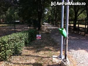 [P04] Cum sa pastrezi curatenia daca nu ai cosuri de gunoi?!  » foto by observatorul
 - 
<span class="allrVoted glyphicon glyphicon-heart hidden" id="av460424"></span>
<a class="m-l-10 hidden" id="sv460424" onclick="voting_Foto_DelVot(,460424,4463)" role="button">șterge vot <span class="glyphicon glyphicon-remove"></span></a>
<a id="v9460424" class=" c-red"  onclick="voting_Foto_SetVot(460424)" role="button"><span class="glyphicon glyphicon-heart-empty"></span> <b>LIKE</b> = Votează poza</a> <img class="hidden"  id="f460424W9" src="/imagini/loader.gif" border="0" /><span class="AjErrMes hidden" id="e460424ErM"></span>