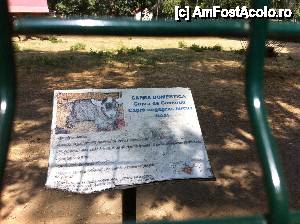 [P05] Asa arata putinele panouri cu informatii despre animale care au ramas pe gardurile gradinii zoo » foto by observatorul
 - 
<span class="allrVoted glyphicon glyphicon-heart hidden" id="av460426"></span>
<a class="m-l-10 hidden" id="sv460426" onclick="voting_Foto_DelVot(,460426,4463)" role="button">șterge vot <span class="glyphicon glyphicon-remove"></span></a>
<a id="v9460426" class=" c-red"  onclick="voting_Foto_SetVot(460426)" role="button"><span class="glyphicon glyphicon-heart-empty"></span> <b>LIKE</b> = Votează poza</a> <img class="hidden"  id="f460426W9" src="/imagini/loader.gif" border="0" /><span class="AjErrMes hidden" id="e460426ErM"></span>