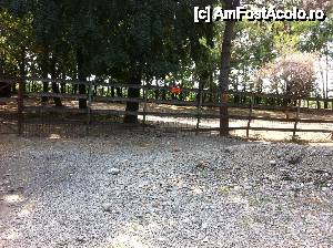 [P08] Aleile sunt pline de gropi umplute cu pietris » foto by observatorul
 - 
<span class="allrVoted glyphicon glyphicon-heart hidden" id="av460430"></span>
<a class="m-l-10 hidden" id="sv460430" onclick="voting_Foto_DelVot(,460430,4463)" role="button">șterge vot <span class="glyphicon glyphicon-remove"></span></a>
<a id="v9460430" class=" c-red"  onclick="voting_Foto_SetVot(460430)" role="button"><span class="glyphicon glyphicon-heart-empty"></span> <b>LIKE</b> = Votează poza</a> <img class="hidden"  id="f460430W9" src="/imagini/loader.gif" border="0" /><span class="AjErrMes hidden" id="e460430ErM"></span>
