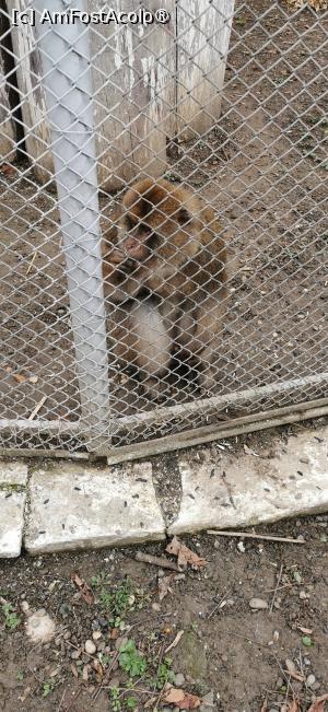 [P12] <strong>Grădina zoologică Bucov</strong> » foto by ⭐ValentinB_88⭐
 - 
<span class="allrVoted glyphicon glyphicon-heart hidden" id="av1414945"></span>
<a class="m-l-10 hidden" id="sv1414945" onclick="voting_Foto_DelVot(,1414945,4463)" role="button">șterge vot <span class="glyphicon glyphicon-remove"></span></a>
<a id="v91414945" class=" c-red"  onclick="voting_Foto_SetVot(1414945)" role="button"><span class="glyphicon glyphicon-heart-empty"></span> <b>LIKE</b> = Votează poza</a> <img class="hidden"  id="f1414945W9" src="/imagini/loader.gif" border="0" /><span class="AjErrMes hidden" id="e1414945ErM"></span>