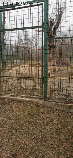 [P15] <strong>Grădina zoologică Bucov</strong> » foto by ⭐ValentinB_88⭐
 - 
<span class="allrVoted glyphicon glyphicon-heart hidden" id="av1414948"></span>
<a class="m-l-10 hidden" id="sv1414948" onclick="voting_Foto_DelVot(,1414948,4463)" role="button">șterge vot <span class="glyphicon glyphicon-remove"></span></a>
<a id="v91414948" class=" c-red"  onclick="voting_Foto_SetVot(1414948)" role="button"><span class="glyphicon glyphicon-heart-empty"></span> <b>LIKE</b> = Votează poza</a> <img class="hidden"  id="f1414948W9" src="/imagini/loader.gif" border="0" /><span class="AjErrMes hidden" id="e1414948ErM"></span>