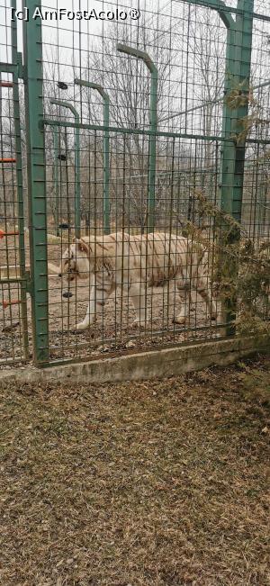 [P16] <strong>Grădina zoologică Bucov</strong> » foto by ⭐ValentinB_88⭐
 - 
<span class="allrVoted glyphicon glyphicon-heart hidden" id="av1414949"></span>
<a class="m-l-10 hidden" id="sv1414949" onclick="voting_Foto_DelVot(,1414949,4463)" role="button">șterge vot <span class="glyphicon glyphicon-remove"></span></a>
<a id="v91414949" class=" c-red"  onclick="voting_Foto_SetVot(1414949)" role="button"><span class="glyphicon glyphicon-heart-empty"></span> <b>LIKE</b> = Votează poza</a> <img class="hidden"  id="f1414949W9" src="/imagini/loader.gif" border="0" /><span class="AjErrMes hidden" id="e1414949ErM"></span>
