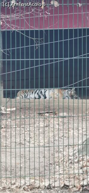 [P18] <strong>Grădina zoologică Bucov</strong> » foto by ⭐ValentinB_88⭐
 - 
<span class="allrVoted glyphicon glyphicon-heart hidden" id="av1414951"></span>
<a class="m-l-10 hidden" id="sv1414951" onclick="voting_Foto_DelVot(,1414951,4463)" role="button">șterge vot <span class="glyphicon glyphicon-remove"></span></a>
<a id="v91414951" class=" c-red"  onclick="voting_Foto_SetVot(1414951)" role="button"><span class="glyphicon glyphicon-heart-empty"></span> <b>LIKE</b> = Votează poza</a> <img class="hidden"  id="f1414951W9" src="/imagini/loader.gif" border="0" /><span class="AjErrMes hidden" id="e1414951ErM"></span>