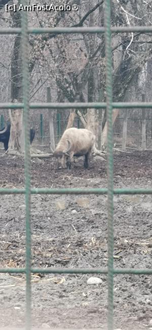 [P04] <strong>Grădina zoologică Bucov</strong> » foto by ⭐ValentinB_88⭐
 - 
<span class="allrVoted glyphicon glyphicon-heart hidden" id="av1414937"></span>
<a class="m-l-10 hidden" id="sv1414937" onclick="voting_Foto_DelVot(,1414937,4463)" role="button">șterge vot <span class="glyphicon glyphicon-remove"></span></a>
<a id="v91414937" class=" c-red"  onclick="voting_Foto_SetVot(1414937)" role="button"><span class="glyphicon glyphicon-heart-empty"></span> <b>LIKE</b> = Votează poza</a> <img class="hidden"  id="f1414937W9" src="/imagini/loader.gif" border="0" /><span class="AjErrMes hidden" id="e1414937ErM"></span>