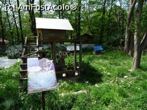 [P19] Aici se află ratonul... pe undeva. Model de panou explicativ la Zoo Bucov.  » foto by tata123 🔱
 - 
<span class="allrVoted glyphicon glyphicon-heart hidden" id="av971941"></span>
<a class="m-l-10 hidden" id="sv971941" onclick="voting_Foto_DelVot(,971941,4463)" role="button">șterge vot <span class="glyphicon glyphicon-remove"></span></a>
<a id="v9971941" class=" c-red"  onclick="voting_Foto_SetVot(971941)" role="button"><span class="glyphicon glyphicon-heart-empty"></span> <b>LIKE</b> = Votează poza</a> <img class="hidden"  id="f971941W9" src="/imagini/loader.gif" border="0" /><span class="AjErrMes hidden" id="e971941ErM"></span>