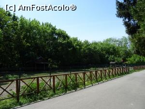 [P20] Spații dedicate erbivorelor mari - Zoo Bucov.  » foto by tata123 🔱
 - 
<span class="allrVoted glyphicon glyphicon-heart hidden" id="av971943"></span>
<a class="m-l-10 hidden" id="sv971943" onclick="voting_Foto_DelVot(,971943,4463)" role="button">șterge vot <span class="glyphicon glyphicon-remove"></span></a>
<a id="v9971943" class=" c-red"  onclick="voting_Foto_SetVot(971943)" role="button"><span class="glyphicon glyphicon-heart-empty"></span> <b>LIKE</b> = Votează poza</a> <img class="hidden"  id="f971943W9" src="/imagini/loader.gif" border="0" /><span class="AjErrMes hidden" id="e971943ErM"></span>