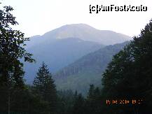 [P03] Fagarasii, semeti, ne farmeca mereu... » foto by trandafir 1970*
 - 
<span class="allrVoted glyphicon glyphicon-heart hidden" id="av117707"></span>
<a class="m-l-10 hidden" id="sv117707" onclick="voting_Foto_DelVot(,117707,4472)" role="button">șterge vot <span class="glyphicon glyphicon-remove"></span></a>
<a id="v9117707" class=" c-red"  onclick="voting_Foto_SetVot(117707)" role="button"><span class="glyphicon glyphicon-heart-empty"></span> <b>LIKE</b> = Votează poza</a> <img class="hidden"  id="f117707W9" src="/imagini/loader.gif" border="0" /><span class="AjErrMes hidden" id="e117707ErM"></span>