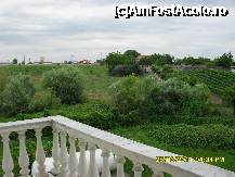 [P44] ce vedeam noi din balcon. » foto by adryana
 - 
<span class="allrVoted glyphicon glyphicon-heart hidden" id="av233482"></span>
<a class="m-l-10 hidden" id="sv233482" onclick="voting_Foto_DelVot(,233482,4484)" role="button">șterge vot <span class="glyphicon glyphicon-remove"></span></a>
<a id="v9233482" class=" c-red"  onclick="voting_Foto_SetVot(233482)" role="button"><span class="glyphicon glyphicon-heart-empty"></span> <b>LIKE</b> = Votează poza</a> <img class="hidden"  id="f233482W9" src="/imagini/loader.gif" border="0" /><span class="AjErrMes hidden" id="e233482ErM"></span>