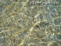[P02] Apa cristalina a Marii Egee..., in unele locuri se vedeau si pestisori inotand.... » foto by magdalena
 - 
<span class="allrVoted glyphicon glyphicon-heart hidden" id="av40315"></span>
<a class="m-l-10 hidden" id="sv40315" onclick="voting_Foto_DelVot(,40315,4512)" role="button">șterge vot <span class="glyphicon glyphicon-remove"></span></a>
<a id="v940315" class=" c-red"  onclick="voting_Foto_SetVot(40315)" role="button"><span class="glyphicon glyphicon-heart-empty"></span> <b>LIKE</b> = Votează poza</a> <img class="hidden"  id="f40315W9" src="/imagini/loader.gif" border="0" /><span class="AjErrMes hidden" id="e40315ErM"></span>