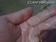[P03] Priviti meduza...Te puteai intalni cu ele in apa! » foto by magdalena
 - 
<span class="allrVoted glyphicon glyphicon-heart hidden" id="av40316"></span>
<a class="m-l-10 hidden" id="sv40316" onclick="voting_Foto_DelVot(,40316,4512)" role="button">șterge vot <span class="glyphicon glyphicon-remove"></span></a>
<a id="v940316" class=" c-red"  onclick="voting_Foto_SetVot(40316)" role="button"><span class="glyphicon glyphicon-heart-empty"></span> <b>LIKE</b> = Votează poza</a> <img class="hidden"  id="f40316W9" src="/imagini/loader.gif" border="0" /><span class="AjErrMes hidden" id="e40316ErM"></span>