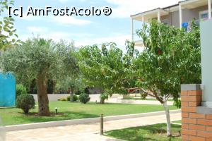 [P13] Gradina din fata camerei » foto by narcisaursu
 - 
<span class="allrVoted glyphicon glyphicon-heart hidden" id="av770363"></span>
<a class="m-l-10 hidden" id="sv770363" onclick="voting_Foto_DelVot(,770363,4512)" role="button">șterge vot <span class="glyphicon glyphicon-remove"></span></a>
<a id="v9770363" class=" c-red"  onclick="voting_Foto_SetVot(770363)" role="button"><span class="glyphicon glyphicon-heart-empty"></span> <b>LIKE</b> = Votează poza</a> <img class="hidden"  id="f770363W9" src="/imagini/loader.gif" border="0" /><span class="AjErrMes hidden" id="e770363ErM"></span>
