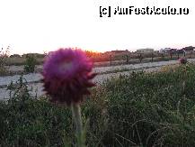 [P49]  -- <small>// FĂRĂ DESCRIERE</small> » foto by RUSTICCO
 - 
<span class="allrVoted glyphicon glyphicon-heart hidden" id="av279149"></span>
<a class="m-l-10 hidden" id="sv279149" onclick="voting_Foto_DelVot(,279149,4522)" role="button">șterge vot <span class="glyphicon glyphicon-remove"></span></a>
<a id="v9279149" class=" c-red"  onclick="voting_Foto_SetVot(279149)" role="button"><span class="glyphicon glyphicon-heart-empty"></span> <b>LIKE</b> = Votează poza</a> <img class="hidden"  id="f279149W9" src="/imagini/loader.gif" border="0" /><span class="AjErrMes hidden" id="e279149ErM"></span>