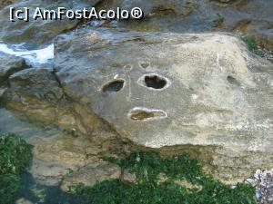 [P14] O stafie...  » foto by cristina47*
 - 
<span class="allrVoted glyphicon glyphicon-heart hidden" id="av841255"></span>
<a class="m-l-10 hidden" id="sv841255" onclick="voting_Foto_DelVot(,841255,4522)" role="button">șterge vot <span class="glyphicon glyphicon-remove"></span></a>
<a id="v9841255" class=" c-red"  onclick="voting_Foto_SetVot(841255)" role="button"><span class="glyphicon glyphicon-heart-empty"></span> <b>LIKE</b> = Votează poza</a> <img class="hidden"  id="f841255W9" src="/imagini/loader.gif" border="0" /><span class="AjErrMes hidden" id="e841255ErM"></span>