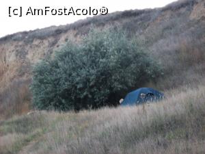[P18] La cort, la umbra copacului. Chiar ca erau izolati. Insa ascultau mereu muzica valurilor.  » foto by cristina47*
 - 
<span class="allrVoted glyphicon glyphicon-heart hidden" id="av841259"></span>
<a class="m-l-10 hidden" id="sv841259" onclick="voting_Foto_DelVot(,841259,4522)" role="button">șterge vot <span class="glyphicon glyphicon-remove"></span></a>
<a id="v9841259" class=" c-red"  onclick="voting_Foto_SetVot(841259)" role="button"><span class="glyphicon glyphicon-heart-empty"></span> <b>LIKE</b> = Votează poza</a> <img class="hidden"  id="f841259W9" src="/imagini/loader.gif" border="0" /><span class="AjErrMes hidden" id="e841259ErM"></span>