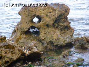 [P03] Natura a sculptat in stanca » foto by cristina47*
 - 
<span class="allrVoted glyphicon glyphicon-heart hidden" id="av841244"></span>
<a class="m-l-10 hidden" id="sv841244" onclick="voting_Foto_DelVot(,841244,4522)" role="button">șterge vot <span class="glyphicon glyphicon-remove"></span></a>
<a id="v9841244" class=" c-red"  onclick="voting_Foto_SetVot(841244)" role="button"><span class="glyphicon glyphicon-heart-empty"></span> <b>LIKE</b> = Votează poza</a> <img class="hidden"  id="f841244W9" src="/imagini/loader.gif" border="0" /><span class="AjErrMes hidden" id="e841244ErM"></span>