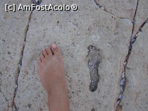 [P05] Al cui picior e mai mare?  » foto by cristina47*
 - 
<span class="allrVoted glyphicon glyphicon-heart hidden" id="av841246"></span>
<a class="m-l-10 hidden" id="sv841246" onclick="voting_Foto_DelVot(,841246,4522)" role="button">șterge vot <span class="glyphicon glyphicon-remove"></span></a>
<a id="v9841246" class=" c-red"  onclick="voting_Foto_SetVot(841246)" role="button"><span class="glyphicon glyphicon-heart-empty"></span> <b>LIKE</b> = Votează poza</a> <img class="hidden"  id="f841246W9" src="/imagini/loader.gif" border="0" /><span class="AjErrMes hidden" id="e841246ErM"></span>