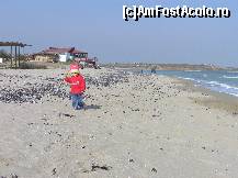 [P16] Prichindelul meu in Vama, in luna octombrie » foto by pepsi70ro
 - 
<span class="allrVoted glyphicon glyphicon-heart hidden" id="av40954"></span>
<a class="m-l-10 hidden" id="sv40954" onclick="voting_Foto_DelVot(,40954,4522)" role="button">șterge vot <span class="glyphicon glyphicon-remove"></span></a>
<a id="v940954" class=" c-red"  onclick="voting_Foto_SetVot(40954)" role="button"><span class="glyphicon glyphicon-heart-empty"></span> <b>LIKE</b> = Votează poza</a> <img class="hidden"  id="f40954W9" src="/imagini/loader.gif" border="0" /><span class="AjErrMes hidden" id="e40954ErM"></span>