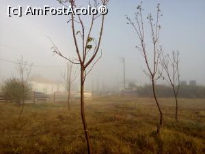 [P43] în curte la canabis goa » foto by danaeldreny*
 - 
<span class="allrVoted glyphicon glyphicon-heart hidden" id="av920182"></span>
<a class="m-l-10 hidden" id="sv920182" onclick="voting_Foto_DelVot(,920182,4522)" role="button">șterge vot <span class="glyphicon glyphicon-remove"></span></a>
<a id="v9920182" class=" c-red"  onclick="voting_Foto_SetVot(920182)" role="button"><span class="glyphicon glyphicon-heart-empty"></span> <b>LIKE</b> = Votează poza</a> <img class="hidden"  id="f920182W9" src="/imagini/loader.gif" border="0" /><span class="AjErrMes hidden" id="e920182ErM"></span>