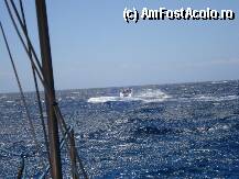 [P30] prin corfu cu barca » foto by Alb
 - 
<span class="allrVoted glyphicon glyphicon-heart hidden" id="av74293"></span>
<a class="m-l-10 hidden" id="sv74293" onclick="voting_Foto_DelVot(,74293,4531)" role="button">șterge vot <span class="glyphicon glyphicon-remove"></span></a>
<a id="v974293" class=" c-red"  onclick="voting_Foto_SetVot(74293)" role="button"><span class="glyphicon glyphicon-heart-empty"></span> <b>LIKE</b> = Votează poza</a> <img class="hidden"  id="f74293W9" src="/imagini/loader.gif" border="0" /><span class="AjErrMes hidden" id="e74293ErM"></span>