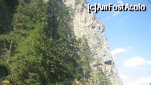 [P12]  -- <small>// FĂRĂ DESCRIERE</small> » foto by cristi82d
 - 
<span class="allrVoted glyphicon glyphicon-heart hidden" id="av123350"></span>
<a class="m-l-10 hidden" id="sv123350" onclick="voting_Foto_DelVot(,123350,4537)" role="button">șterge vot <span class="glyphicon glyphicon-remove"></span></a>
<a id="v9123350" class=" c-red"  onclick="voting_Foto_SetVot(123350)" role="button"><span class="glyphicon glyphicon-heart-empty"></span> <b>LIKE</b> = Votează poza</a> <img class="hidden"  id="f123350W9" src="/imagini/loader.gif" border="0" /><span class="AjErrMes hidden" id="e123350ErM"></span>