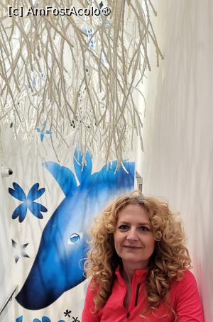 [P11] De la semiobscuritatea primei incaperi, am trecut in sala luminoasa numita ,,Silent light”, ce reprezinta arborele de cristal, ce seamana cu un brad incarcat de zapada. » foto by geani anto
 - 
<span class="allrVoted glyphicon glyphicon-heart hidden" id="av1420467"></span>
<a class="m-l-10 hidden" id="sv1420467" onclick="voting_Foto_DelVot(,1420467,4541)" role="button">șterge vot <span class="glyphicon glyphicon-remove"></span></a>
<a id="v91420467" class=" c-red"  onclick="voting_Foto_SetVot(1420467)" role="button"><span class="glyphicon glyphicon-heart-empty"></span> <b>LIKE</b> = Votează poza</a> <img class="hidden"  id="f1420467W9" src="/imagini/loader.gif" border="0" /><span class="AjErrMes hidden" id="e1420467ErM"></span>