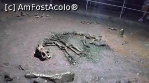 [P05] Galeria oaselor - scheletul ursului de caverna » foto by raducondurache
 - 
<span class="allrVoted glyphicon glyphicon-heart hidden" id="av889669"></span>
<a class="m-l-10 hidden" id="sv889669" onclick="voting_Foto_DelVot(,889669,4543)" role="button">șterge vot <span class="glyphicon glyphicon-remove"></span></a>
<a id="v9889669" class=" c-red"  onclick="voting_Foto_SetVot(889669)" role="button"><span class="glyphicon glyphicon-heart-empty"></span> <b>LIKE</b> = Votează poza</a> <img class="hidden"  id="f889669W9" src="/imagini/loader.gif" border="0" /><span class="AjErrMes hidden" id="e889669ErM"></span>