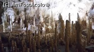 [P09] galeria lumanarilor » foto by raducondurache
 - 
<span class="allrVoted glyphicon glyphicon-heart hidden" id="av889673"></span>
<a class="m-l-10 hidden" id="sv889673" onclick="voting_Foto_DelVot(,889673,4543)" role="button">șterge vot <span class="glyphicon glyphicon-remove"></span></a>
<a id="v9889673" class=" c-red"  onclick="voting_Foto_SetVot(889673)" role="button"><span class="glyphicon glyphicon-heart-empty"></span> <b>LIKE</b> = Votează poza</a> <img class="hidden"  id="f889673W9" src="/imagini/loader.gif" border="0" /><span class="AjErrMes hidden" id="e889673ErM"></span>