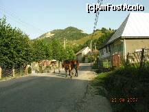 [P26] O traversare neregulamentara in RM » foto by raoulp55
 - 
<span class="allrVoted glyphicon glyphicon-heart hidden" id="av150513"></span>
<a class="m-l-10 hidden" id="sv150513" onclick="voting_Foto_DelVot(,150513,4543)" role="button">șterge vot <span class="glyphicon glyphicon-remove"></span></a>
<a id="v9150513" class=" c-red"  onclick="voting_Foto_SetVot(150513)" role="button"><span class="glyphicon glyphicon-heart-empty"></span> <b>LIKE</b> = Votează poza</a> <img class="hidden"  id="f150513W9" src="/imagini/loader.gif" border="0" /><span class="AjErrMes hidden" id="e150513ErM"></span>