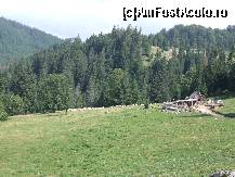 [P12] peisaj din Ic Ponor » foto by marocanu21
 - 
<span class="allrVoted glyphicon glyphicon-heart hidden" id="av392511"></span>
<a class="m-l-10 hidden" id="sv392511" onclick="voting_Foto_DelVot(,392511,4543)" role="button">șterge vot <span class="glyphicon glyphicon-remove"></span></a>
<a id="v9392511" class=" c-red"  onclick="voting_Foto_SetVot(392511)" role="button"><span class="glyphicon glyphicon-heart-empty"></span> <b>LIKE</b> = Votează poza</a> <img class="hidden"  id="f392511W9" src="/imagini/loader.gif" border="0" /><span class="AjErrMes hidden" id="e392511ErM"></span>