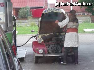 [P12] la Sighisoara am alimentat... dar n-am fost singurii » foto by marocanu21
 - 
<span class="allrVoted glyphicon glyphicon-heart hidden" id="av393378"></span>
<a class="m-l-10 hidden" id="sv393378" onclick="voting_Foto_DelVot(,393378,4543)" role="button">șterge vot <span class="glyphicon glyphicon-remove"></span></a>
<a id="v9393378" class=" c-red"  onclick="voting_Foto_SetVot(393378)" role="button"><span class="glyphicon glyphicon-heart-empty"></span> <b>LIKE</b> = Votează poza</a> <img class="hidden"  id="f393378W9" src="/imagini/loader.gif" border="0" /><span class="AjErrMes hidden" id="e393378ErM"></span>