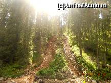 [P11]  -- <small>// FĂRĂ DESCRIERE</small> » foto by LidiaV
 - 
<span class="allrVoted glyphicon glyphicon-heart hidden" id="av491421"></span>
<a class="m-l-10 hidden" id="sv491421" onclick="voting_Foto_DelVot(,491421,4543)" role="button">șterge vot <span class="glyphicon glyphicon-remove"></span></a>
<a id="v9491421" class=" c-red"  onclick="voting_Foto_SetVot(491421)" role="button"><span class="glyphicon glyphicon-heart-empty"></span> <b>LIKE</b> = Votează poza</a> <img class="hidden"  id="f491421W9" src="/imagini/loader.gif" border="0" /><span class="AjErrMes hidden" id="e491421ErM"></span>