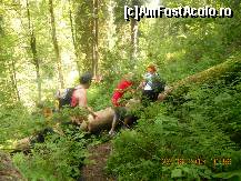 [P14]  -- <small>// FĂRĂ DESCRIERE</small> » foto by LidiaV
 - 
<span class="allrVoted glyphicon glyphicon-heart hidden" id="av491424"></span>
<a class="m-l-10 hidden" id="sv491424" onclick="voting_Foto_DelVot(,491424,4543)" role="button">șterge vot <span class="glyphicon glyphicon-remove"></span></a>
<a id="v9491424" class=" c-red"  onclick="voting_Foto_SetVot(491424)" role="button"><span class="glyphicon glyphicon-heart-empty"></span> <b>LIKE</b> = Votează poza</a> <img class="hidden"  id="f491424W9" src="/imagini/loader.gif" border="0" /><span class="AjErrMes hidden" id="e491424ErM"></span>