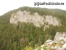 [P15]  -- <small>// FĂRĂ DESCRIERE</small> » foto by LidiaV
 - 
<span class="allrVoted glyphicon glyphicon-heart hidden" id="av491425"></span>
<a class="m-l-10 hidden" id="sv491425" onclick="voting_Foto_DelVot(,491425,4543)" role="button">șterge vot <span class="glyphicon glyphicon-remove"></span></a>
<a id="v9491425" class=" c-red"  onclick="voting_Foto_SetVot(491425)" role="button"><span class="glyphicon glyphicon-heart-empty"></span> <b>LIKE</b> = Votează poza</a> <img class="hidden"  id="f491425W9" src="/imagini/loader.gif" border="0" /><span class="AjErrMes hidden" id="e491425ErM"></span>