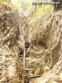 [P18]  -- <small>// FĂRĂ DESCRIERE</small> » foto by LidiaV
 - 
<span class="allrVoted glyphicon glyphicon-heart hidden" id="av491428"></span>
<a class="m-l-10 hidden" id="sv491428" onclick="voting_Foto_DelVot(,491428,4543)" role="button">șterge vot <span class="glyphicon glyphicon-remove"></span></a>
<a id="v9491428" class=" c-red"  onclick="voting_Foto_SetVot(491428)" role="button"><span class="glyphicon glyphicon-heart-empty"></span> <b>LIKE</b> = Votează poza</a> <img class="hidden"  id="f491428W9" src="/imagini/loader.gif" border="0" /><span class="AjErrMes hidden" id="e491428ErM"></span>