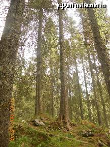 [P20]  -- <small>// FĂRĂ DESCRIERE</small> » foto by LidiaV
 - 
<span class="allrVoted glyphicon glyphicon-heart hidden" id="av491430"></span>
<a class="m-l-10 hidden" id="sv491430" onclick="voting_Foto_DelVot(,491430,4543)" role="button">șterge vot <span class="glyphicon glyphicon-remove"></span></a>
<a id="v9491430" class=" c-red"  onclick="voting_Foto_SetVot(491430)" role="button"><span class="glyphicon glyphicon-heart-empty"></span> <b>LIKE</b> = Votează poza</a> <img class="hidden"  id="f491430W9" src="/imagini/loader.gif" border="0" /><span class="AjErrMes hidden" id="e491430ErM"></span>