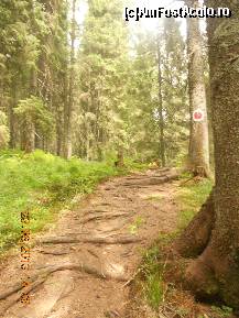 [P21]  -- <small>// FĂRĂ DESCRIERE</small> » foto by LidiaV
 - 
<span class="allrVoted glyphicon glyphicon-heart hidden" id="av491431"></span>
<a class="m-l-10 hidden" id="sv491431" onclick="voting_Foto_DelVot(,491431,4543)" role="button">șterge vot <span class="glyphicon glyphicon-remove"></span></a>
<a id="v9491431" class=" c-red"  onclick="voting_Foto_SetVot(491431)" role="button"><span class="glyphicon glyphicon-heart-empty"></span> <b>LIKE</b> = Votează poza</a> <img class="hidden"  id="f491431W9" src="/imagini/loader.gif" border="0" /><span class="AjErrMes hidden" id="e491431ErM"></span>