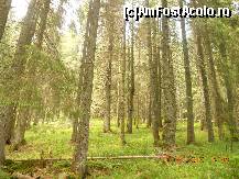 [P22]  -- <small>// FĂRĂ DESCRIERE</small> » foto by LidiaV
 - 
<span class="allrVoted glyphicon glyphicon-heart hidden" id="av491432"></span>
<a class="m-l-10 hidden" id="sv491432" onclick="voting_Foto_DelVot(,491432,4543)" role="button">șterge vot <span class="glyphicon glyphicon-remove"></span></a>
<a id="v9491432" class=" c-red"  onclick="voting_Foto_SetVot(491432)" role="button"><span class="glyphicon glyphicon-heart-empty"></span> <b>LIKE</b> = Votează poza</a> <img class="hidden"  id="f491432W9" src="/imagini/loader.gif" border="0" /><span class="AjErrMes hidden" id="e491432ErM"></span>