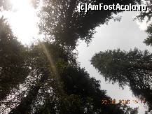 [P23]  -- <small>// FĂRĂ DESCRIERE</small> » foto by LidiaV
 - 
<span class="allrVoted glyphicon glyphicon-heart hidden" id="av491433"></span>
<a class="m-l-10 hidden" id="sv491433" onclick="voting_Foto_DelVot(,491433,4543)" role="button">șterge vot <span class="glyphicon glyphicon-remove"></span></a>
<a id="v9491433" class=" c-red"  onclick="voting_Foto_SetVot(491433)" role="button"><span class="glyphicon glyphicon-heart-empty"></span> <b>LIKE</b> = Votează poza</a> <img class="hidden"  id="f491433W9" src="/imagini/loader.gif" border="0" /><span class="AjErrMes hidden" id="e491433ErM"></span>