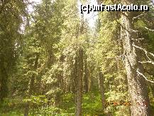 [P24]  -- <small>// FĂRĂ DESCRIERE</small> » foto by LidiaV
 - 
<span class="allrVoted glyphicon glyphicon-heart hidden" id="av491434"></span>
<a class="m-l-10 hidden" id="sv491434" onclick="voting_Foto_DelVot(,491434,4543)" role="button">șterge vot <span class="glyphicon glyphicon-remove"></span></a>
<a id="v9491434" class=" c-red"  onclick="voting_Foto_SetVot(491434)" role="button"><span class="glyphicon glyphicon-heart-empty"></span> <b>LIKE</b> = Votează poza</a> <img class="hidden"  id="f491434W9" src="/imagini/loader.gif" border="0" /><span class="AjErrMes hidden" id="e491434ErM"></span>