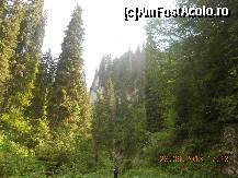 [P25]  -- <small>// FĂRĂ DESCRIERE</small> » foto by LidiaV
 - 
<span class="allrVoted glyphicon glyphicon-heart hidden" id="av491435"></span>
<a class="m-l-10 hidden" id="sv491435" onclick="voting_Foto_DelVot(,491435,4543)" role="button">șterge vot <span class="glyphicon glyphicon-remove"></span></a>
<a id="v9491435" class=" c-red"  onclick="voting_Foto_SetVot(491435)" role="button"><span class="glyphicon glyphicon-heart-empty"></span> <b>LIKE</b> = Votează poza</a> <img class="hidden"  id="f491435W9" src="/imagini/loader.gif" border="0" /><span class="AjErrMes hidden" id="e491435ErM"></span>