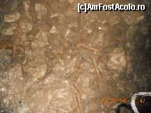 [P30]  -- <small>// FĂRĂ DESCRIERE</small> » foto by LidiaV
 - 
<span class="allrVoted glyphicon glyphicon-heart hidden" id="av491440"></span>
<a class="m-l-10 hidden" id="sv491440" onclick="voting_Foto_DelVot(,491440,4543)" role="button">șterge vot <span class="glyphicon glyphicon-remove"></span></a>
<a id="v9491440" class=" c-red"  onclick="voting_Foto_SetVot(491440)" role="button"><span class="glyphicon glyphicon-heart-empty"></span> <b>LIKE</b> = Votează poza</a> <img class="hidden"  id="f491440W9" src="/imagini/loader.gif" border="0" /><span class="AjErrMes hidden" id="e491440ErM"></span>