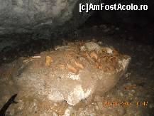 [P31]  -- <small>// FĂRĂ DESCRIERE</small> » foto by LidiaV
 - 
<span class="allrVoted glyphicon glyphicon-heart hidden" id="av491441"></span>
<a class="m-l-10 hidden" id="sv491441" onclick="voting_Foto_DelVot(,491441,4543)" role="button">șterge vot <span class="glyphicon glyphicon-remove"></span></a>
<a id="v9491441" class=" c-red"  onclick="voting_Foto_SetVot(491441)" role="button"><span class="glyphicon glyphicon-heart-empty"></span> <b>LIKE</b> = Votează poza</a> <img class="hidden"  id="f491441W9" src="/imagini/loader.gif" border="0" /><span class="AjErrMes hidden" id="e491441ErM"></span>