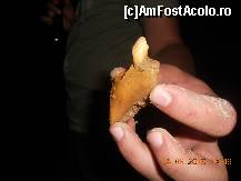 [P32]  -- <small>// FĂRĂ DESCRIERE</small> » foto by LidiaV
 - 
<span class="allrVoted glyphicon glyphicon-heart hidden" id="av491442"></span>
<a class="m-l-10 hidden" id="sv491442" onclick="voting_Foto_DelVot(,491442,4543)" role="button">șterge vot <span class="glyphicon glyphicon-remove"></span></a>
<a id="v9491442" class=" c-red"  onclick="voting_Foto_SetVot(491442)" role="button"><span class="glyphicon glyphicon-heart-empty"></span> <b>LIKE</b> = Votează poza</a> <img class="hidden"  id="f491442W9" src="/imagini/loader.gif" border="0" /><span class="AjErrMes hidden" id="e491442ErM"></span>