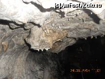 [P35]  -- <small>// FĂRĂ DESCRIERE</small> » foto by LidiaV
 - 
<span class="allrVoted glyphicon glyphicon-heart hidden" id="av491445"></span>
<a class="m-l-10 hidden" id="sv491445" onclick="voting_Foto_DelVot(,491445,4543)" role="button">șterge vot <span class="glyphicon glyphicon-remove"></span></a>
<a id="v9491445" class=" c-red"  onclick="voting_Foto_SetVot(491445)" role="button"><span class="glyphicon glyphicon-heart-empty"></span> <b>LIKE</b> = Votează poza</a> <img class="hidden"  id="f491445W9" src="/imagini/loader.gif" border="0" /><span class="AjErrMes hidden" id="e491445ErM"></span>